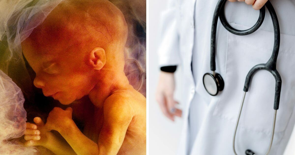 Press release - Over 1,000 medical professionals urge Peers to oppose abortion up to birth clause