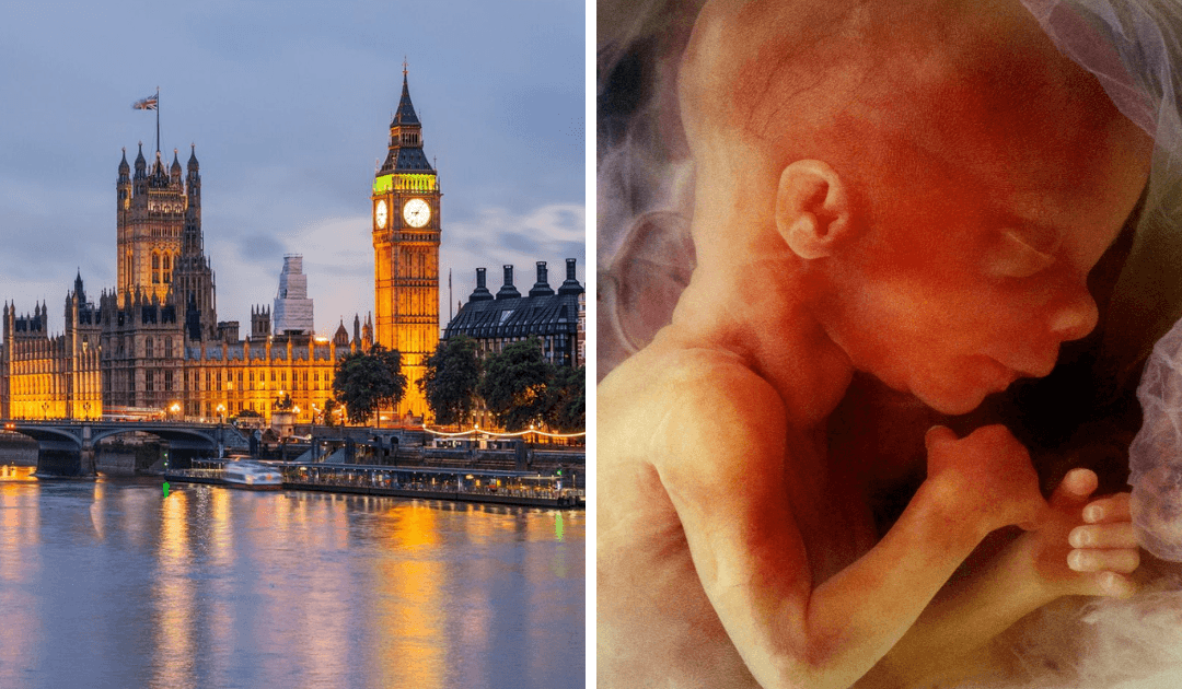 Wrap-up: Lords approve abortion up to birth clause
