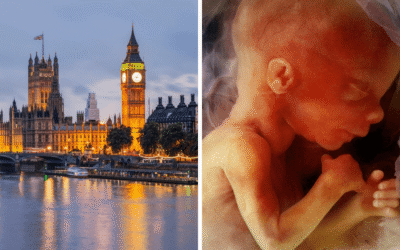 Wrap-up: Lords approve abortion up to birth clause