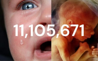 58th anniversary of Abortion Act coming into effect, 11,105,671 lives lost since 1968