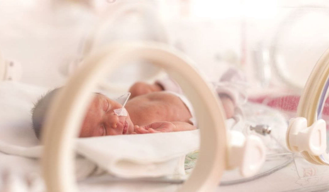 “Heroic” premature baby born at only 23 weeks celebrates first birthday