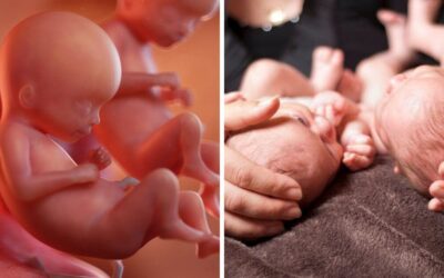 Premature twins born at only 27 weeks now thriving at home with family