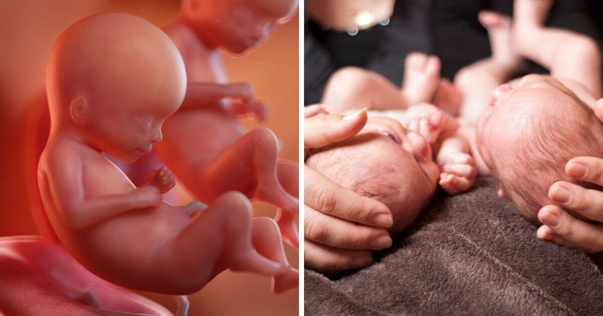 Premature twins born at only 27 weeks now thriving at home with family