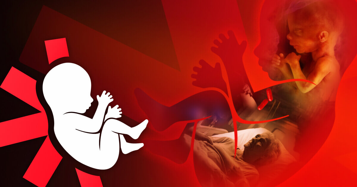 Emergency appeal to stop three major threats in the new Parliamentary session