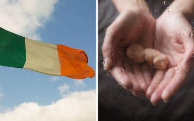 Ireland: Bill to remove three-day wait before abortion defeated