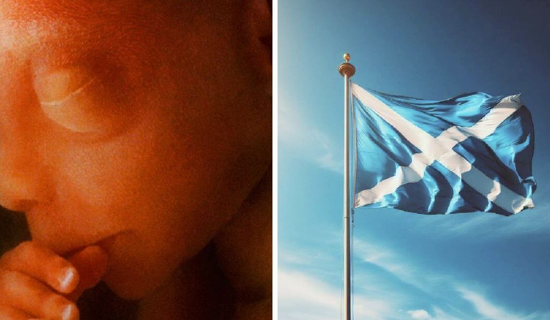 Press release – Scotland abortion numbers highest ever on record, calls to reject extreme abortion up to birth plans