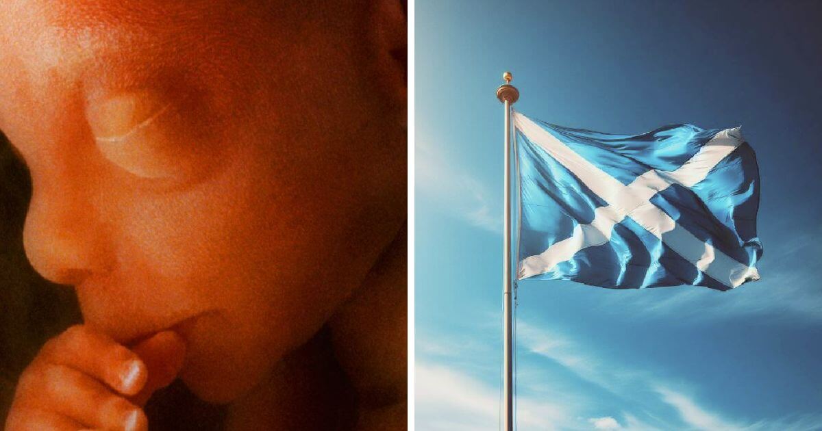 Press release – Scotland abortion numbers highest ever on record