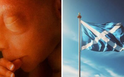 Scotland abortion numbers highest ever on record