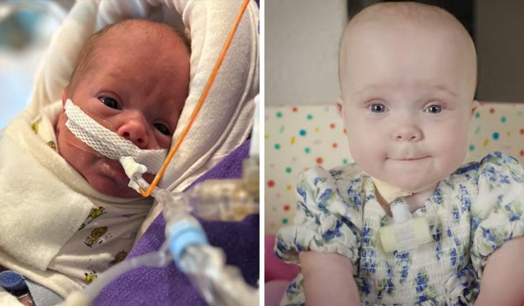 26 week premmie home after 8 months in hospital