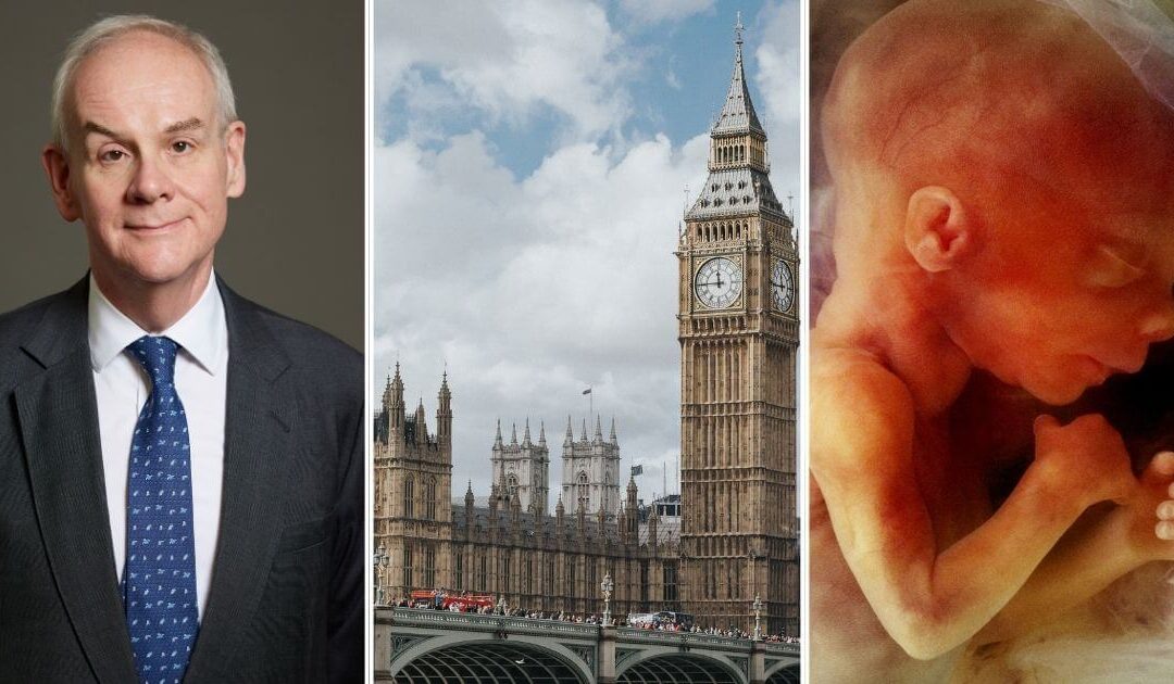 Press release – Abortion complications reporting Bill receives First Reading in House of Lords