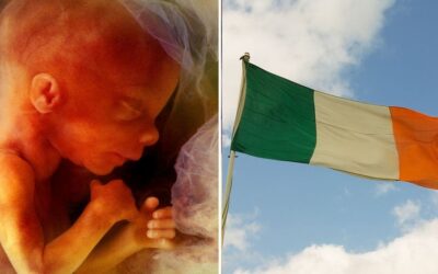 Ireland: almost 60,000 abortions since 2019, a 59% increase since law introduced