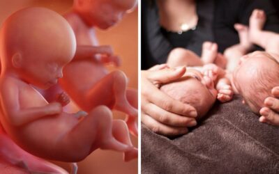 Twin boys born 10 weeks prematurely just hours after mother calls her doctor with discomfort