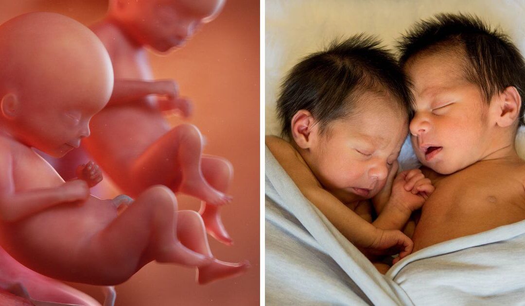 Twins born at 22 weeks begin school after being given “zero chance of survival”