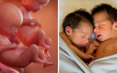 Twins born at 22 weeks begin school after being given “zero chance of survival”
