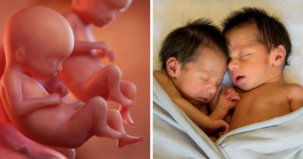 Twins born at 22 weeks begin school after being given “zero chance of survival”