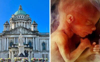 Belfast City Council to celebrate abortion up to birth campaign by illuminating landmark, prompting backlash