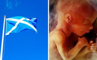 Leaked document reveals SNP considering changing law to allow abortion up to birth for any reason, including sex-selection