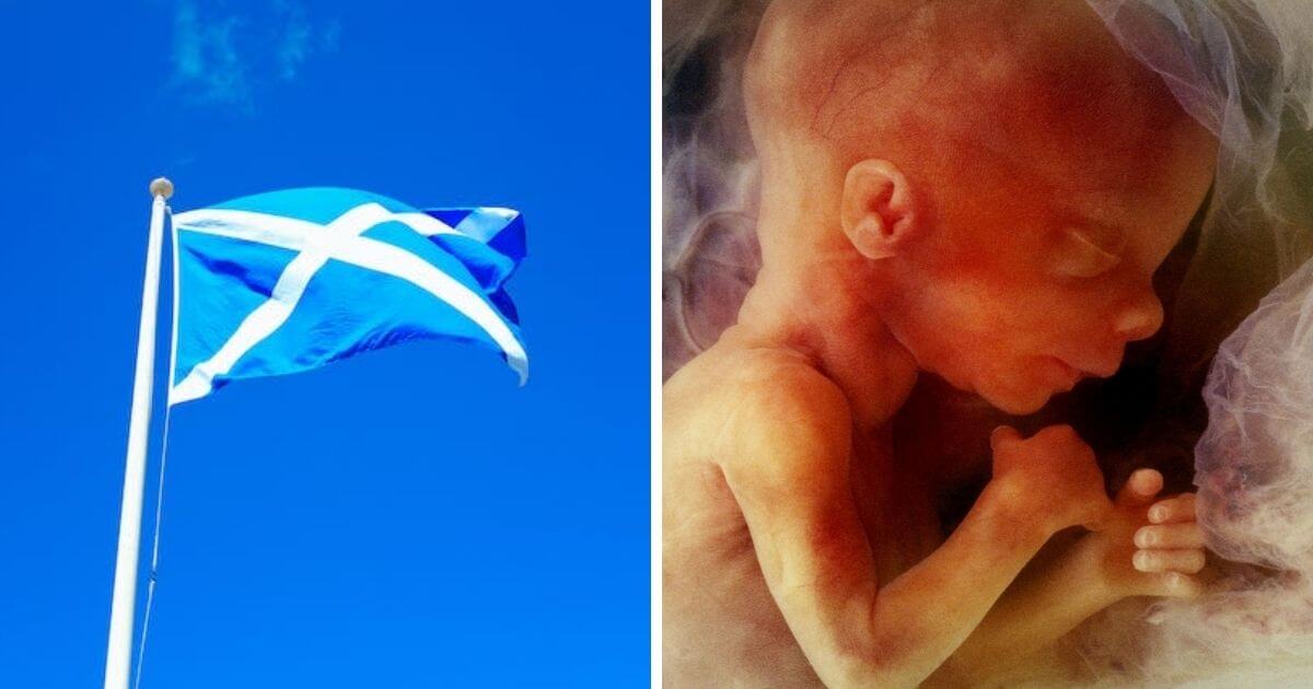 Leaked document reveals SNP considering changing law to allow abortion up to birth for any reason, including sex-selection