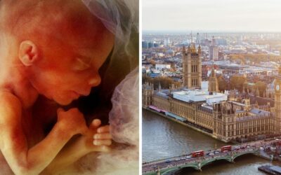 No longer a crime for women to lie to doctors to obtain abortion pills at any stage of pregnancy up to birth, Government admits