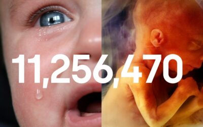 59th anniversary of Abortion Act receiving royal assent, 11,256,470 lives lost since 1967