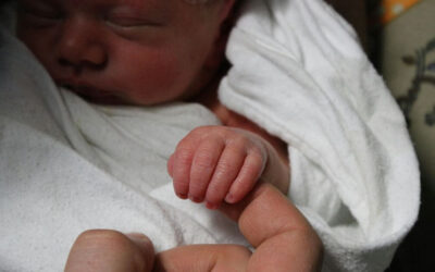 Births hit lowest half-year total since 1977 in England and Wales